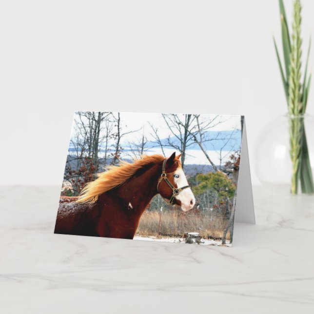 Cartão Buckie na montanha de Rogers (Frente)