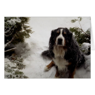 Cartão Buckminster ama neve