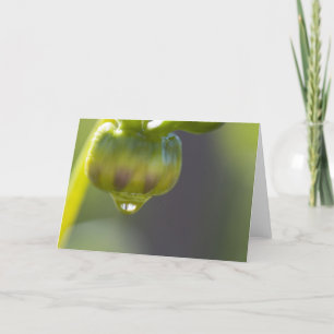 Cartão Bud and drop greeting card