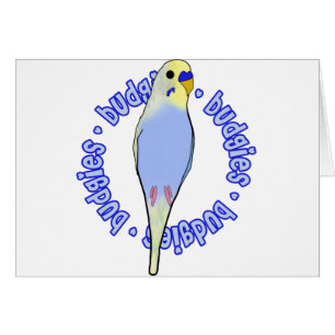 Cartão Budgies Budgies Budgies