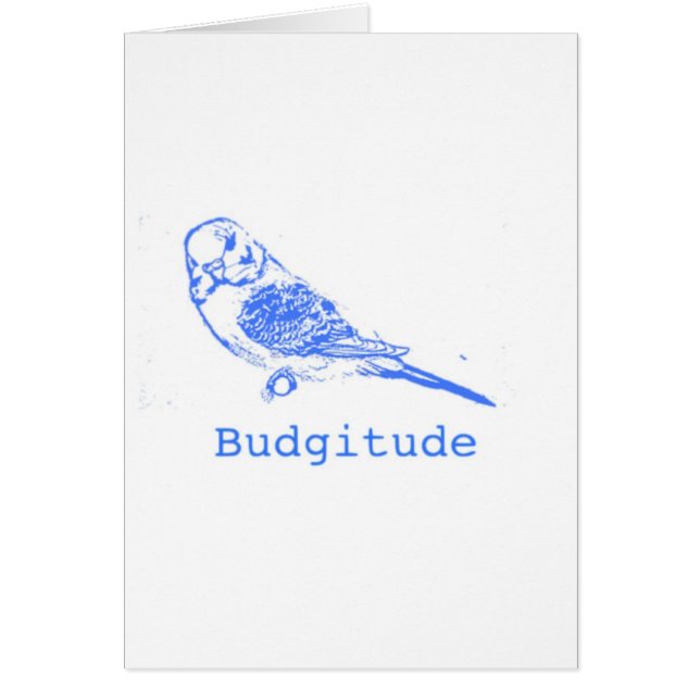 Cartão Budgitude (Frente)