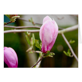 Cartão Buds Rosa