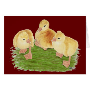 Cartão Buff Goslings Tufted