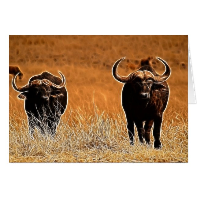 Cartão Buffalo Africano (Frente Horizontal)