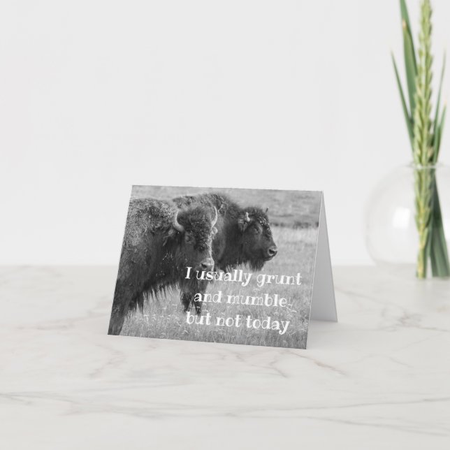 CARTÃO BUFFALO CANTADO ***ANIVERSÁRIO FELIZ*** (Frente)