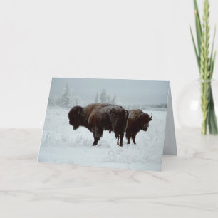 Cartão Buffalo greeting card