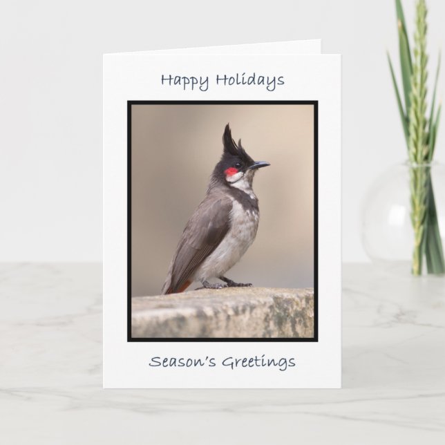 Cartão Bulbul Indiano (Frente)