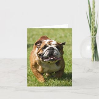 Cartão Buldogue feliz que funciona na grama