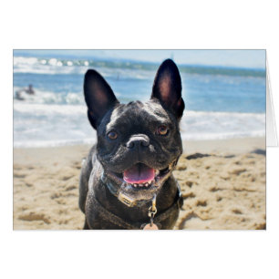 Cartão Buldogue Francês