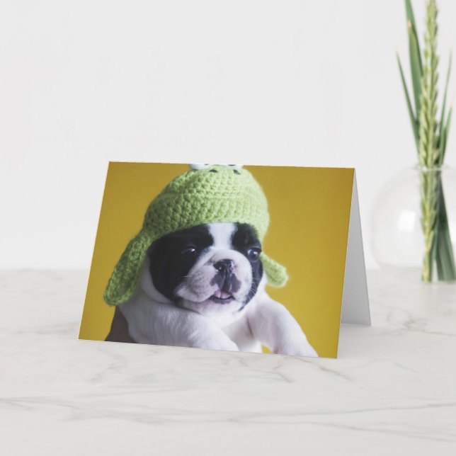 Cartão Buldogue Francês (Frente)