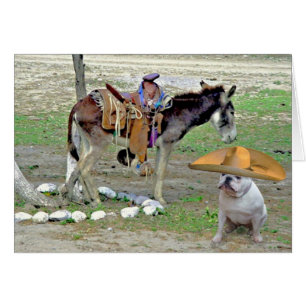 Cartão Buldogue mexicano