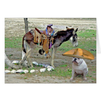 Cartão Buldogue mexicano