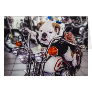 Cartão Buldogue na motocicleta