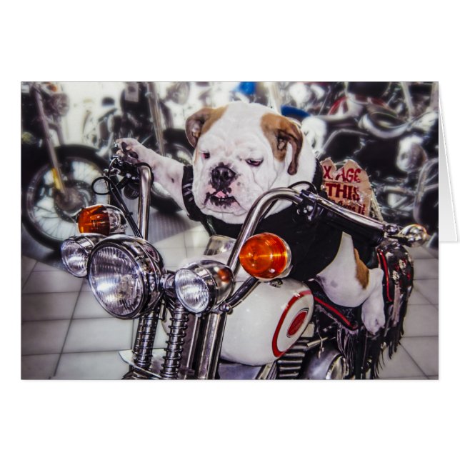Cartão Buldogue na motocicleta (Frente Horizontal)