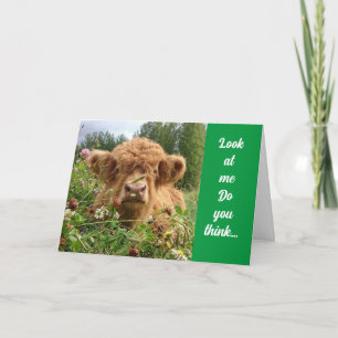 CARTÃO BULL É SÉRIO E DIZ "FELIZ 60 ANOS"