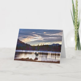 Cartão Bull Moose em Sprague Lake, Colorado, Sunrise