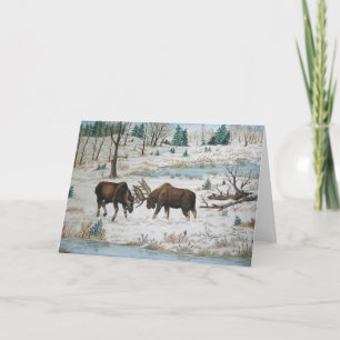 Cartão Bull Moose Wildlife Art