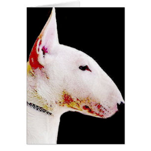 Cartão Bull terrier