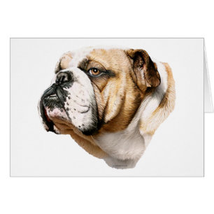 Cartão Bulldog Bust