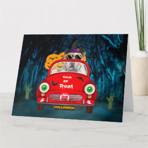 Cartão Bulldog Inglês Dirigindo Carro Assustador no Hallo