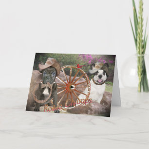 Cartão Bulldog Rodeo Champs