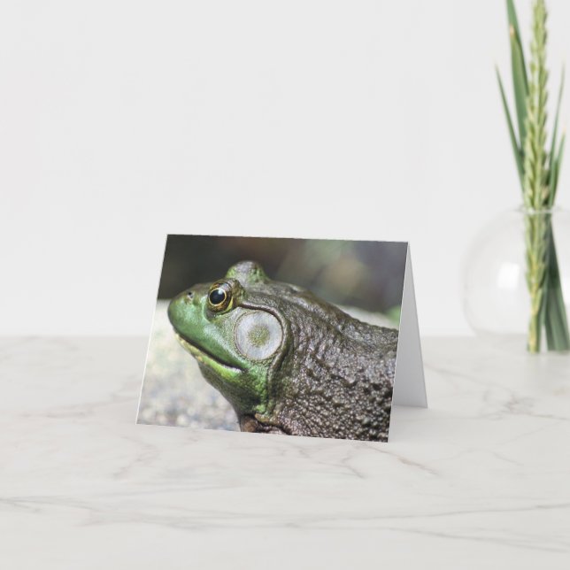 Cartão Bullfrog Thoughts Nature Photography Note (Frente)