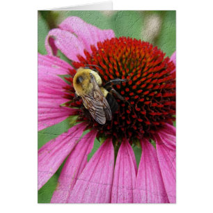 Cartão Bumble Bee 2