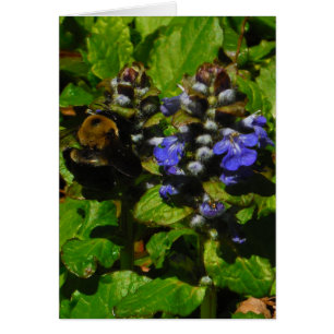 Cartão Bumble e Bumble Bee