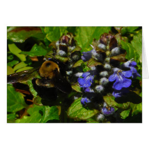 Cartão Bumble e Bumble Bee