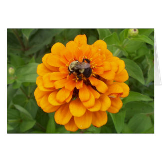 Cartão Bumblebee