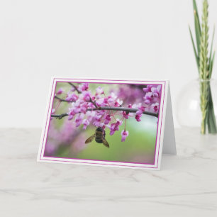 Cartão Bumblebee em Redbud Blossoms