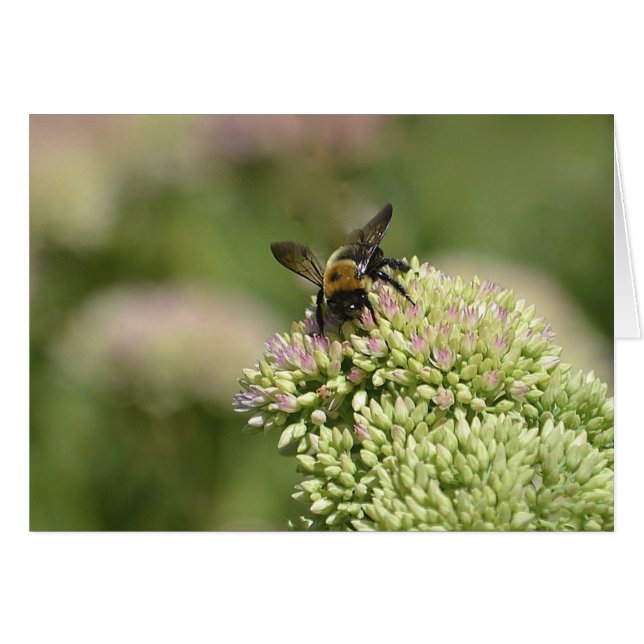 Cartão Bumblebee Heaven (Frente horizontal)