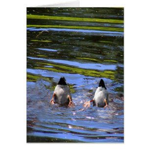 Cartão Bumbuns do pato