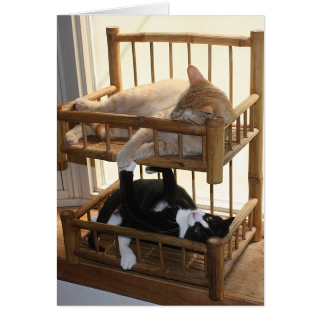 Cartão Bunk Bed Brothers (Frente)