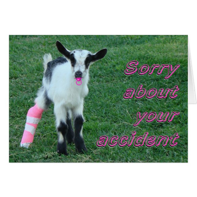 Cartão Bunny1375-customize (Frente Horizontal)