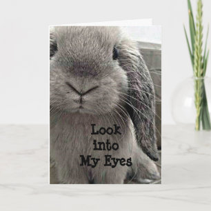 CARTÃO BUNNY DOCE ESPERANDO PARA DIZER ANIVERSÁRIO FELIZ