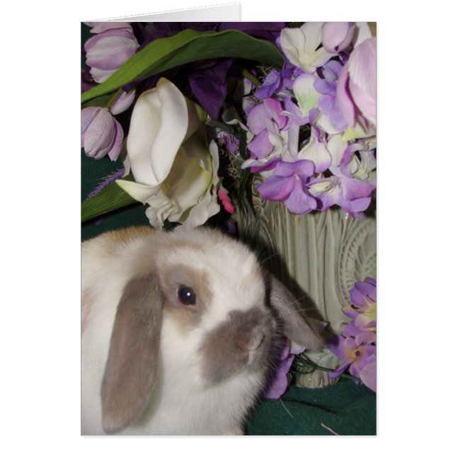 Cartão Bunny e Blooms 08 (Frente)