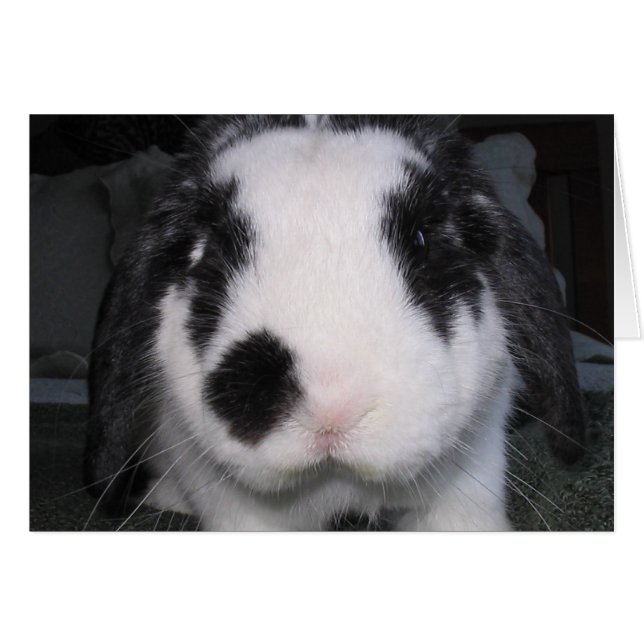 Cartão Bunny Love (Frente Horizontal)