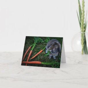 Cartão Bunny Munches Carrots / Notecard