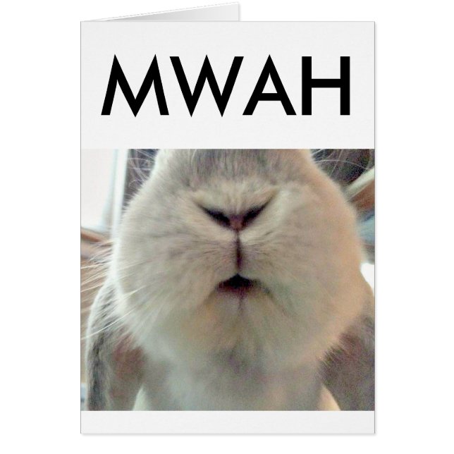 Cartão Bunny Smooches (Frente)