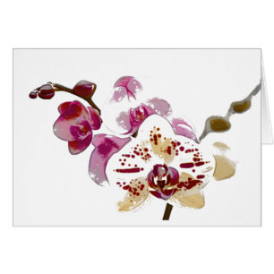 Cartão Buquê da flor da orquídea do Phalaenopsis