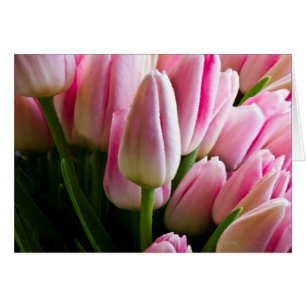 Cartão Buquê de tulipas cor-de-rosa