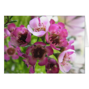 Cartão Buquê minúsculo