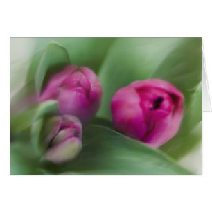 Cartão Buquê Tulip