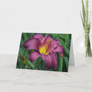 Cartão Burgundy Day Lily Blank Note Card