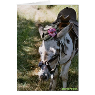 Cartão burro com chapéu