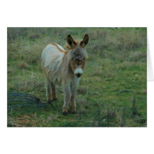 Cartão Burro do bebê