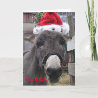 Cartão "Burros Fazem Grandes Papais Noel!"