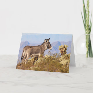 Cartão Burros Selvagens do Arizona