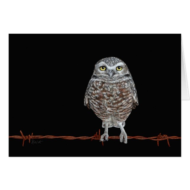 Cartão Burrowing Owl (Frente horizontal)